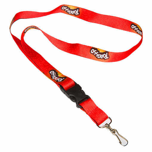 Llavero colgante completo de cinta poliéster de 20 mm con mosquetón metálico y hebilla enchufe